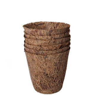 Kokosodlingskrukor 6cm runda (6)