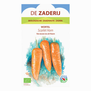 Morot 'Scarlet Horn'