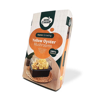 Gula ostronskivlingar EKO