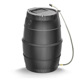 Regenton voor Kas Vitavia 