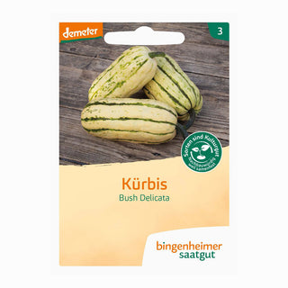 Pumpa  'Bush Delicata'