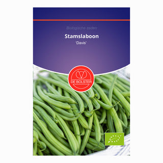 Buskböna 'Davis'