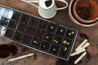 Såbricka ECO Zink (30)