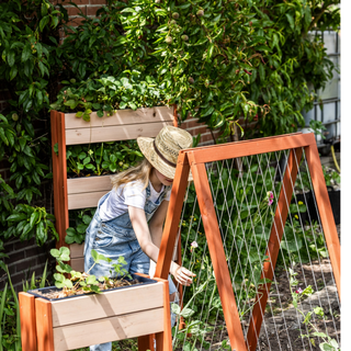 Vertikal trädgård M