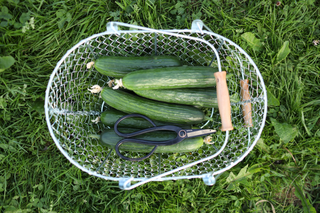 Artisan trädgårdssax
