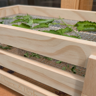 Torkrack för blommor och örter