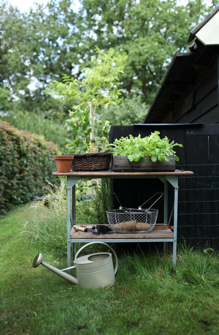 Vattenkanna Design 10L