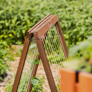 Växtklätterstöd, fällbart