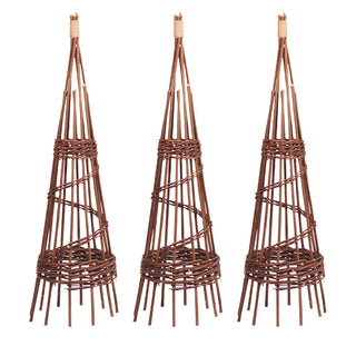 Plantensteun Wilg Banden