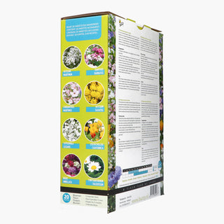 Friendly Flowers XL Bi låg 50m²