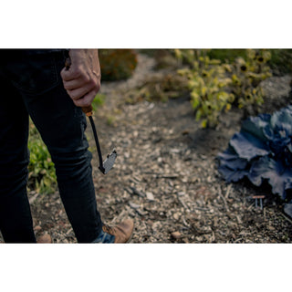 Barebones Japanse Schrepel