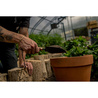 Barebones Kruideniersschep