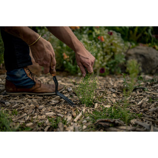 Barebones Onkruidvork