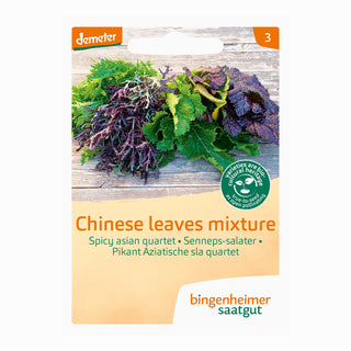 Bingenheimer Saatgut Aziatische Salade Pikant