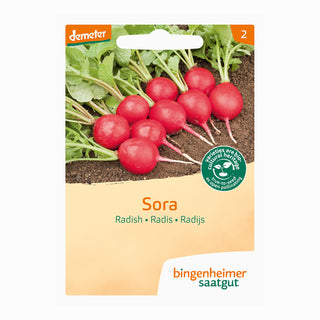 Bingenheimer Saatgut Radijs Sora