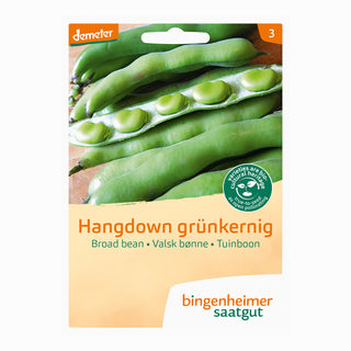 Bingenheimer Saatgut Tuinboon Hangend Groenkern