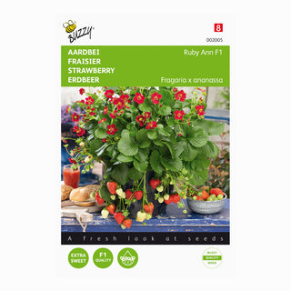 Aardbei (Hangend) Ruby Ann F1