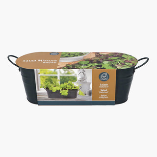 Buzzy Antraciet Teiltje Baby leaf Salad