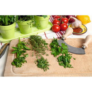 Buzzy Bio Keukenkruiden Set Wit