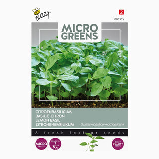 Buzzy Microgreens Citroenbasilicum 080305