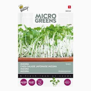 Buzzy Microgreens Mizuna green 080340