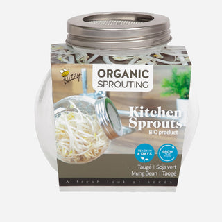 Kiemgroente Tauge in Glazen Pot