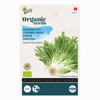 Buzzy Organic Krulandijvie Grosse Pancalière 92018