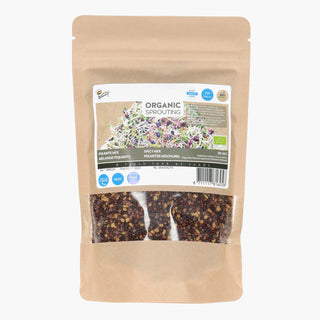 Buzzy Sprouting Salademengsel Pikant 250g