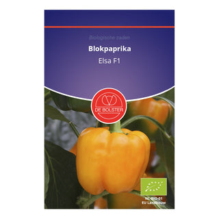 De Bolster Blokpaprika 'Elsa F1' 1622