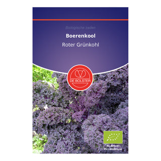 De Bolster Boerenkool 'Roter Grünkohl'