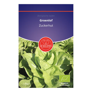 De Bolster Groenlof 'Zuckerhut' 1360