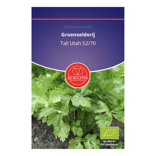 De Bolster Groenselderij 'Tall Utah 52/70'