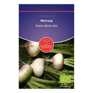 De Bolster Meiraap 'Platte Witte Mei' 1700