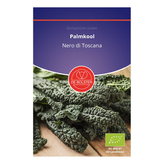 De Bolster Palmkool 'Nero di Toscana' 1505