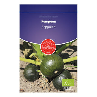 De Bolster Pompoen 'Zappalito' 1680