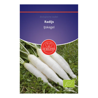 De Bolster Radijs 'IJskegel' 1745