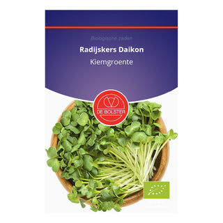 De Bolster Radijskers 'Daikon' - Kiemgroente