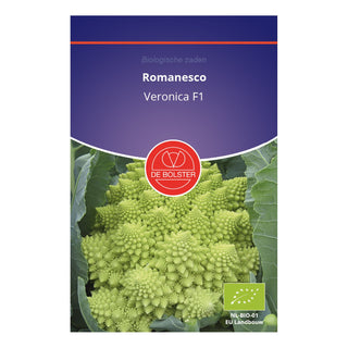 De Bolster Romanesco 'Veronica F1' 1515