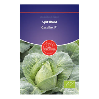 De Bolster Spitskool 'Caraflex F1' 1535