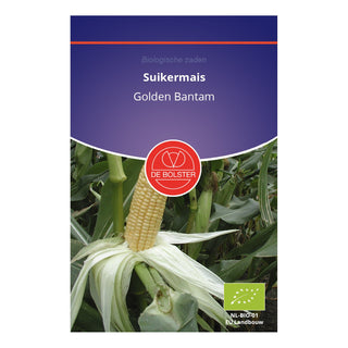 De Bolster Suikermais 'Golden Bantam' 1940