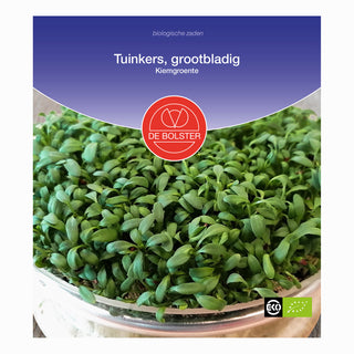 Tuinkers Grootbladig - Kiemgroente