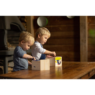 Insectenhotel met Schilderset