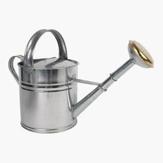 Gieter 5L Zink