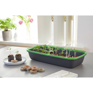 Romberg BOQUBE M Black