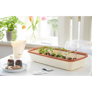 Romberg BOQUBE M Creme