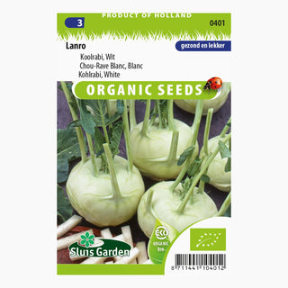 Sluis Garden Kohlrabi Lanro blanc SL0401
