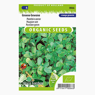 Sluis Garden Postelein Groene Gewone Zomer SL0066