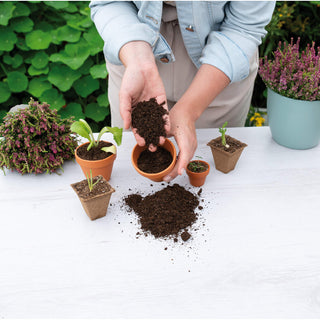 Zaai- en stekgrond 5L Sogo