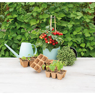 Sogo Biologische Turfpotjes 4x4cm (6)