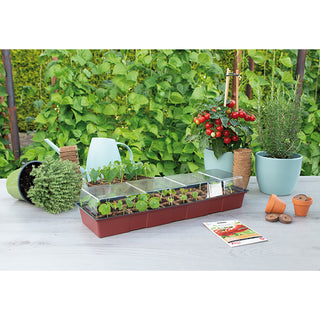 Sogo Vensterbank Kweekkas (incl. 30 Turfpotjes)